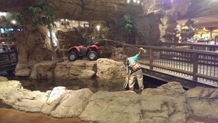 Bass Pro experience Phoenix AZ